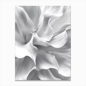 White Dahlia Canvas Print Canvas Print