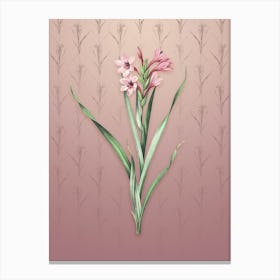 Vintage Sword Lily Botanical on Dusty Pink Pattern n.2170 Canvas Print