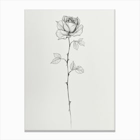 English Rose Black And White Line Drawing 27 Canvas Print