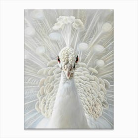 Peacock Canvas Print