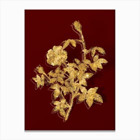 Vintage Moss Rose Botanical in Gold on Red n.0453 Canvas Print
