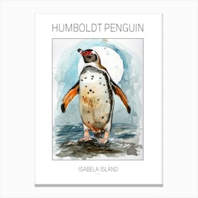 Humboldt Penguin Isabela Island Watercolour Painting 3 Poster Canvas Print