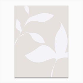 White Leaves On A Beige Background Canvas Print