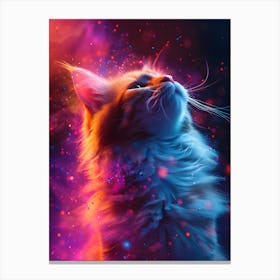 Cat In Space Canvas Print