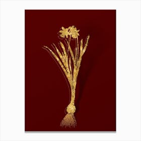 Vintage Lesser Wild Daffodil Botanical in Gold on Red n.0136 Canvas Print
