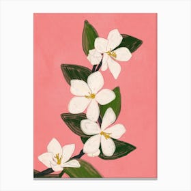 Blooming Branch Pink Canvas Print