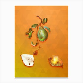 Vintage Pear Botanical Art on Tangelo n.1095 Canvas Print