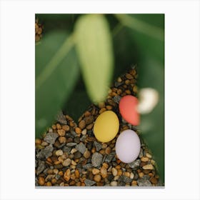 Easter Eggs 148 Canvas Print