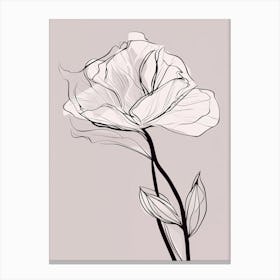 Gladioli Line Art Flowers Illustration Neutral 9 Canvas Print