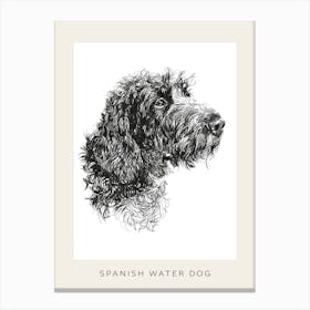 Spanish Water Dog Line Sketch 1 Poster Canvas Print