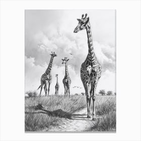 Giraffe Walking Down The Path Pencil Drawing 4 Canvas Print