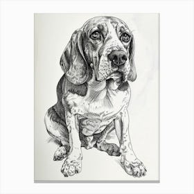 Beagle Dog Line Sketch 1 Canvas Print