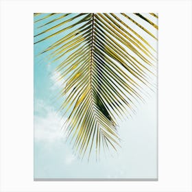 Palm Leaf Photograph Canvas Print