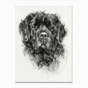 Fluffy Dog Line Sketch Canvas Print