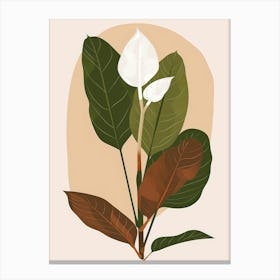 Lily Of The Valley 55 Canvas Print