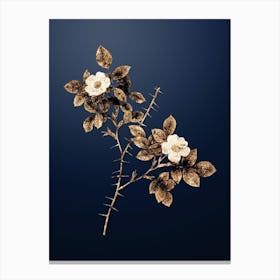 Gold Botanical Spiny Leaved Rose of Dematra on Midnight Navy Canvas Print