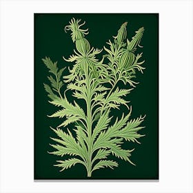 Mugwort Herb Vintage Botanical Canvas Print