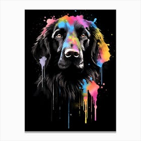 Colorfulflatcoatedretrieverdisplate Canvas Print