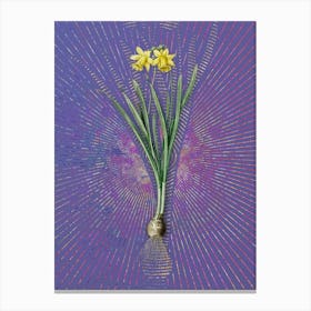Vintage Lesser Wild Daffodil Botanical Illustration on Veri Peri n.0270 Canvas Print