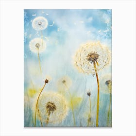 Dandelion 20 Canvas Print