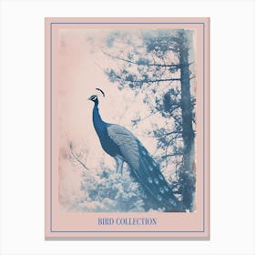 Peacock In The Snowy Tree Cyanotype Poster Canvas Print