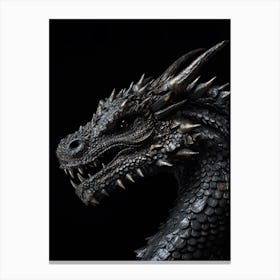 Black dragon Canvas Print