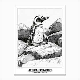 Penguin Sunbathing On Rocks Poster Canvas Print