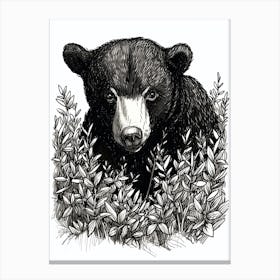 Malayan Sun Bear Hiding In Bushes Ink Illustration 3 Canvas Print