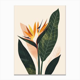 Bird Of Paradise Plant Minimalist Illustration 4 Canvas Print