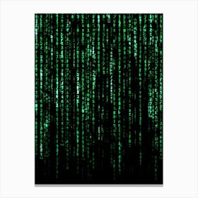 Matrix Code Canvas Print