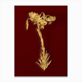 Vintage Vintage Lily Botanical in Gold on Red Canvas Print