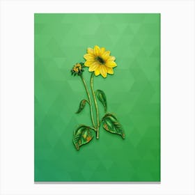 Vintage Trumpet Stalked Sunflower Botanical Art on Classic Green n.2003 Canvas Print