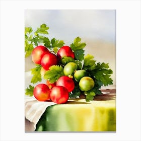Gooseberry Italian Watercolour fruit Canvas Print