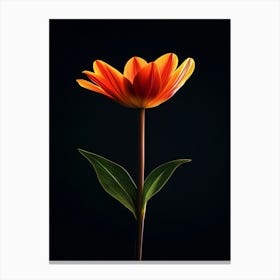 Single Orange Flower 4 Canvas Print