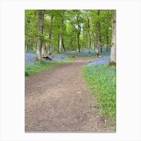 Bluebells In The Woods Canvas Print