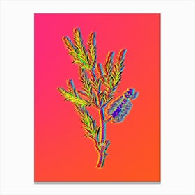 Neon Swamp Paperbark Branch Botanical in Hot Pink and Electric Blue n.0291 Canvas Print