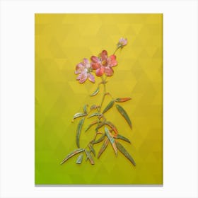 Vintage Peach Leaved Rose Botanical Art on Empire Yellow n.1289 Canvas Print