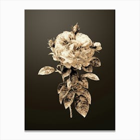Gold Botanical Giant French Rose on Chocolate Brown n.3100 Canvas Print