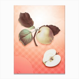 Astracan Apple Vintage Botanical in Peach Fuzz Tartan Plaid Pattern n.0093 Canvas Print
