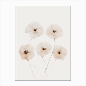 Beige Delicate Flowers Canvas Print