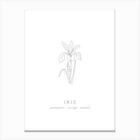 Iris Birth Flower Canvas Print