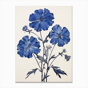 Blue Botanical Phlox Canvas Print