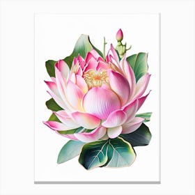 Pink Lotus Decoupage 3 Canvas Print