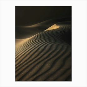 Sand Dunes 6 Canvas Print