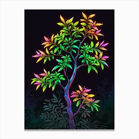 Tree Of Life 27 Canvas Print