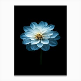 Blue Dahlia Flower Canvas Print