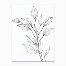 Drawing Of A Leaf 1 Canvas Print