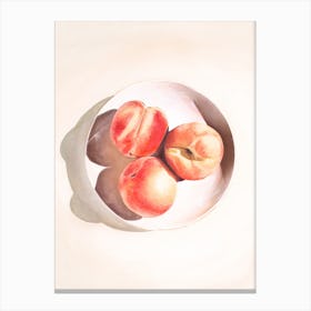 Summer Peaches Canvas Print