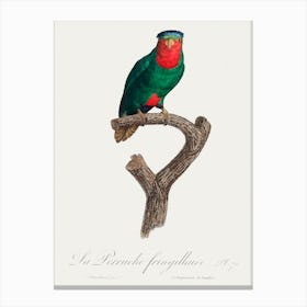 The Blue Crowned Lorikeet From Natural History Of Parrots, Francois Levaillant Canvas Print