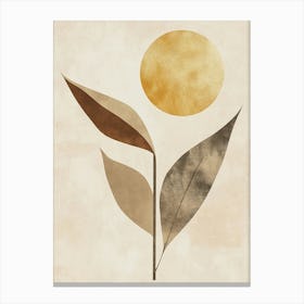 Sun And Leaf 1 Canvas Print